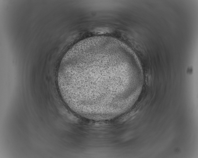 X0000091921393200709261632