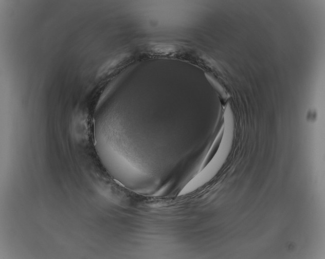 X0000091921394200709261632