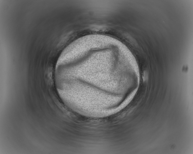 X0000091921396200709261632