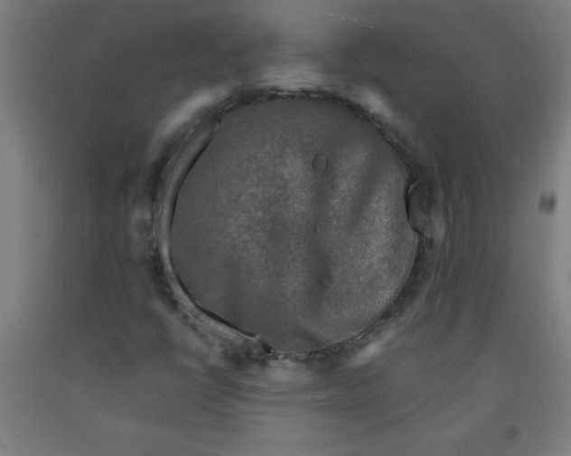 X0000091921398200709261632