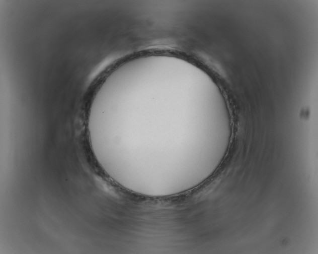 X0000091921400200709261632