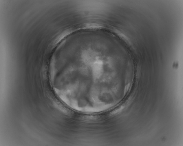 X0000091921401200709261632