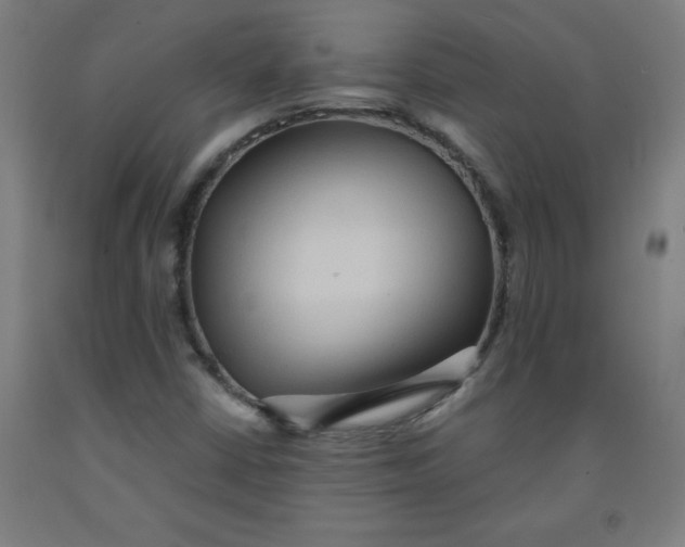 X0000091921402200709261632