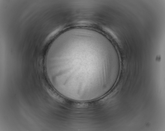 X0000091921403200709261632