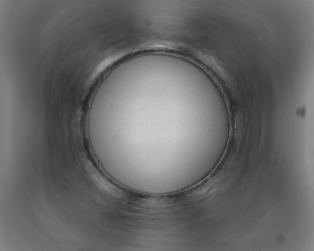 X0000091921404200709261632