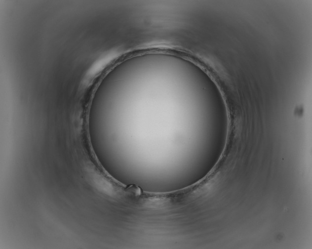 X0000091921406200709261632