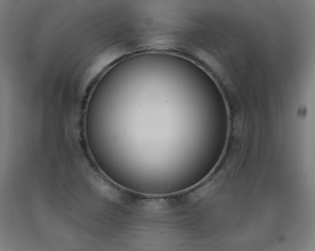 X0000091921410200709261632