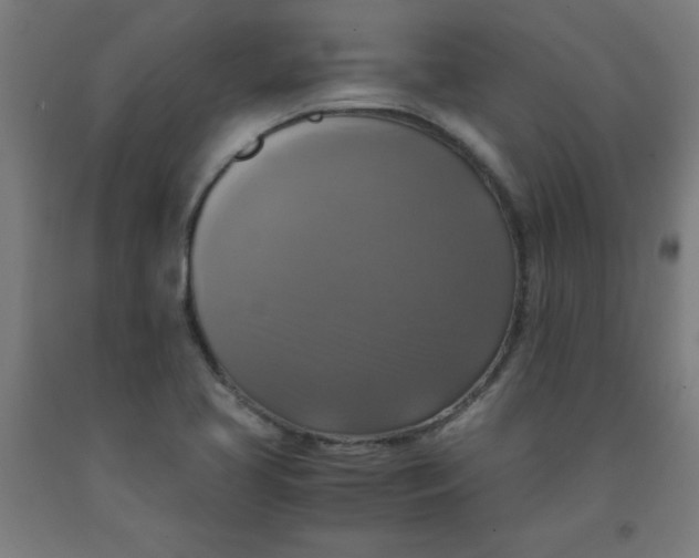 X0000091921413200709261632