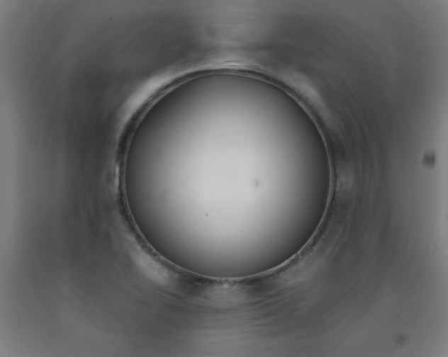 X0000091921414200709261632