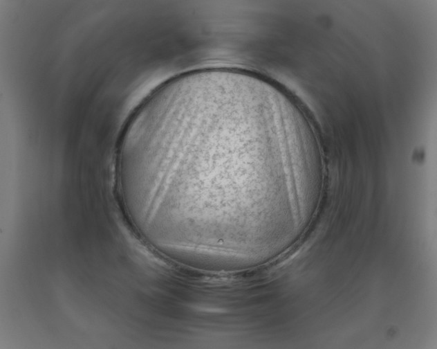 X0000091921415200709261632