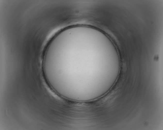 X0000091921416200709261632