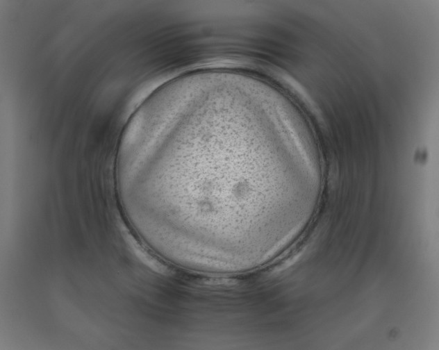 X0000091921417200709261632