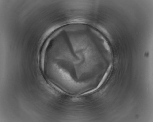 X0000091921419200709261632