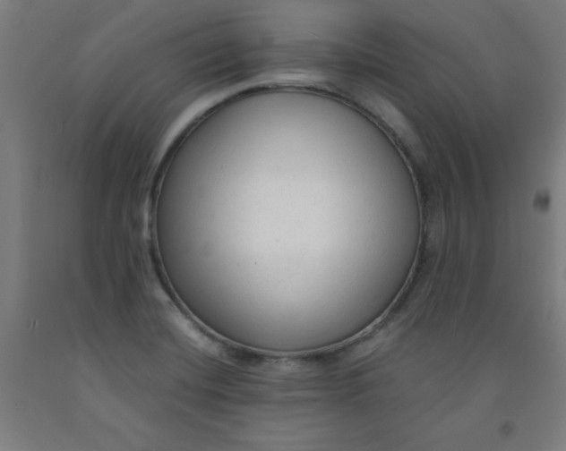 X0000091921420200709261632