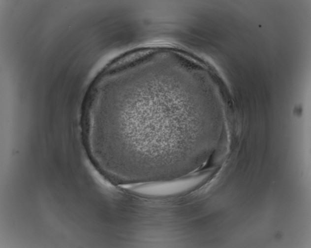 X0000091921422200709261632