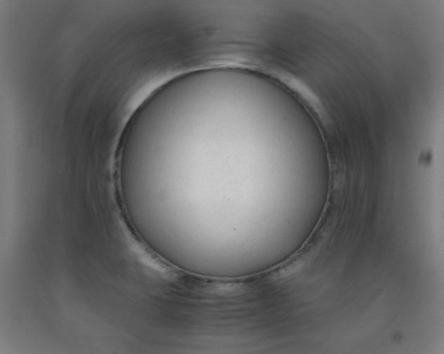 X0000091921423200709261632