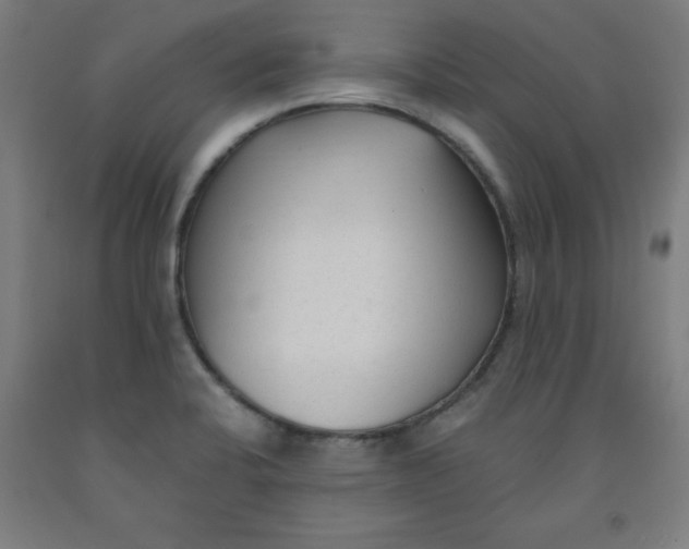 X0000091921424200709261632