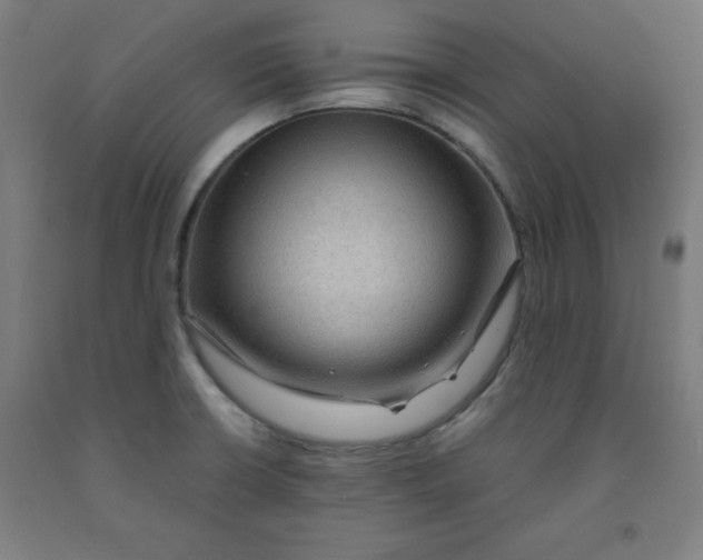 X0000091921426200709261632