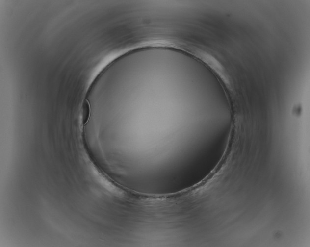 X0000091921428200709261632