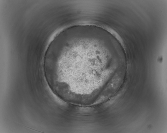 X0000091921429200709261632