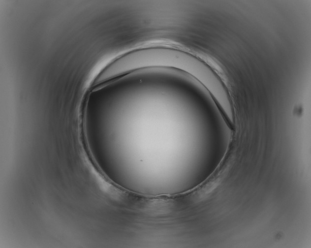 X0000091921430200709261632