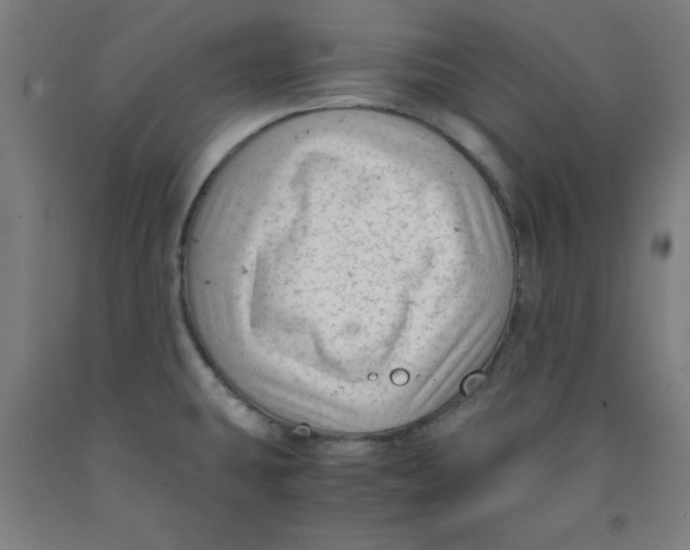 X0000091921431200709261632