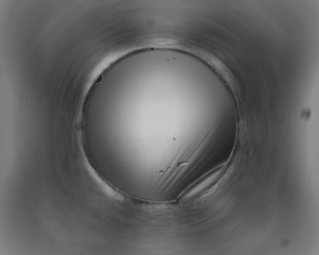 X0000091921432200709261633