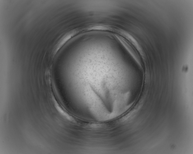 X0000091921433200709261633