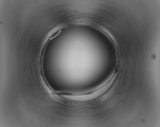 X0000091921434200709261633