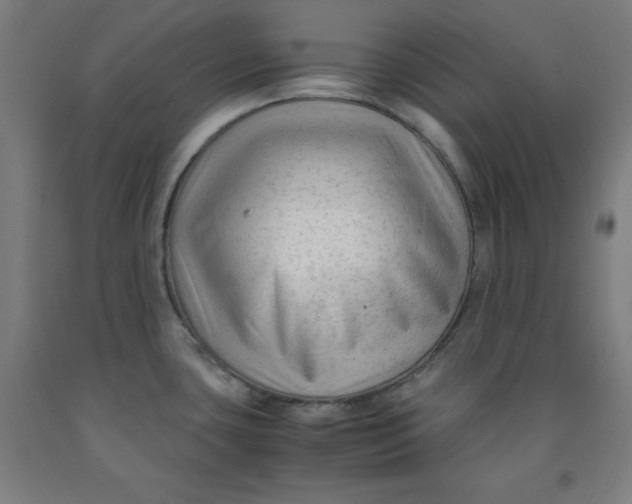 X0000091921435200709261633