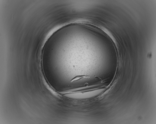 X0000091921437200709261633