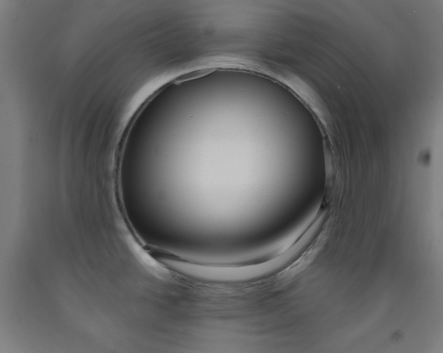 X0000091921438200709261633