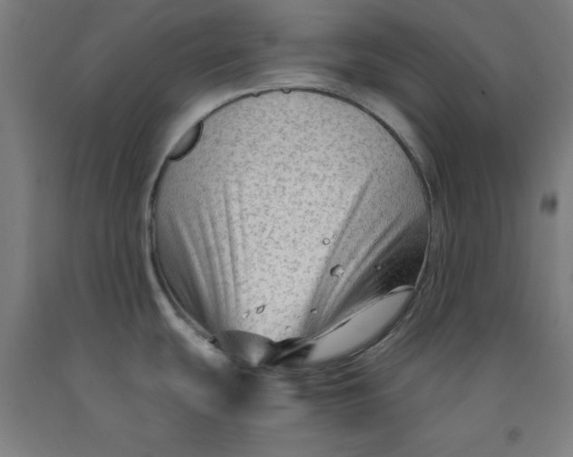 X0000091921439200709261633