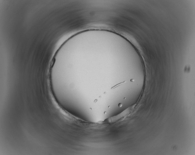 X0000091921440200709261633