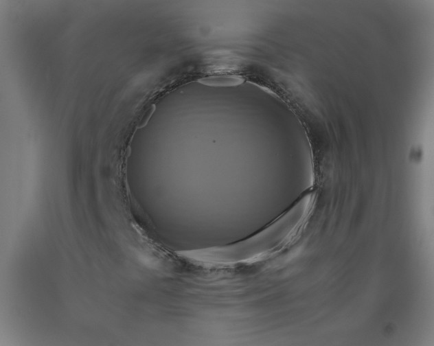 X0000091921441200709261632