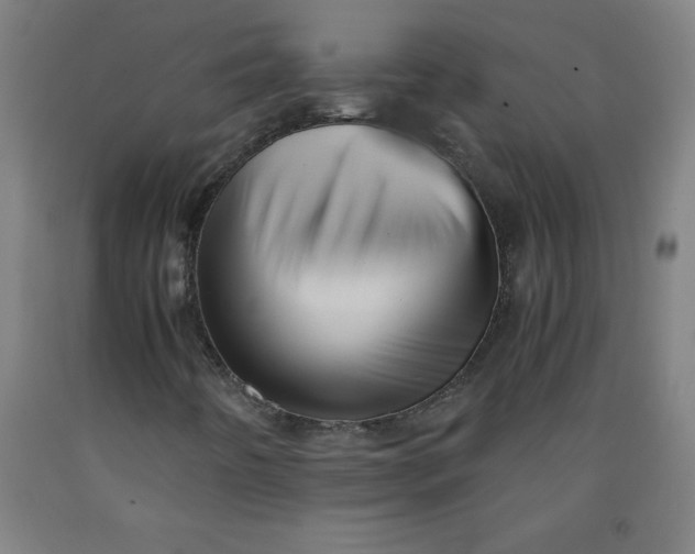 X0000091921442200709261632