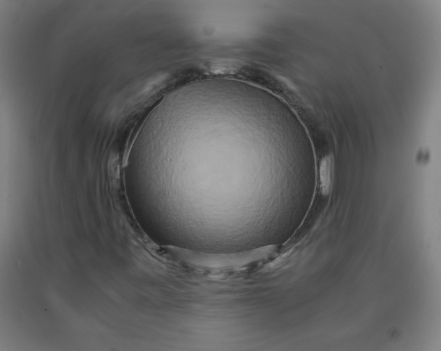 X0000091921443200709261632