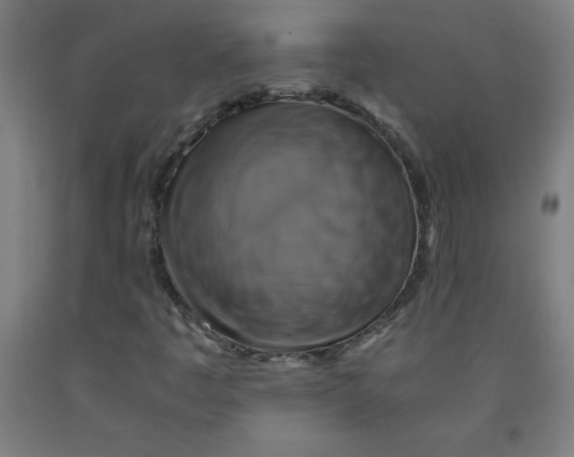 X0000091921445200709261632