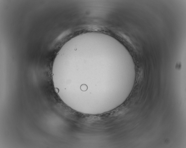 X0000091921446200709261632