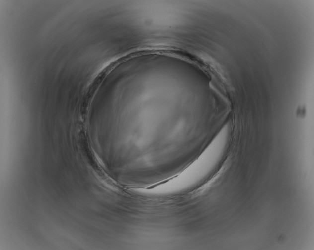 X0000091921449200709261632