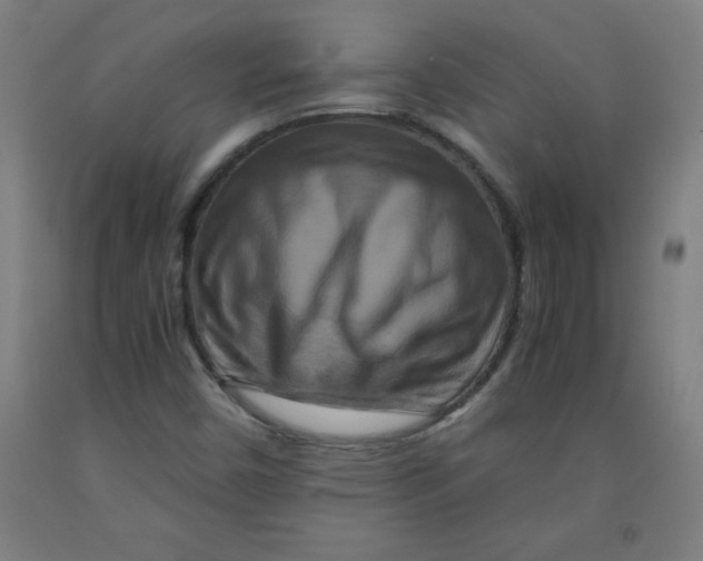 X0000091921450200709261632