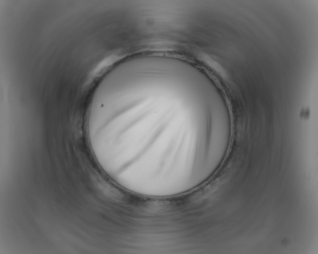 X0000091921451200709261632