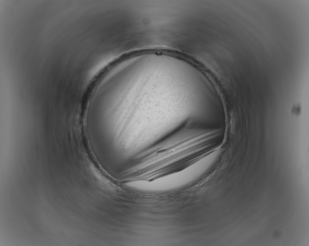 X0000091921452200709261632