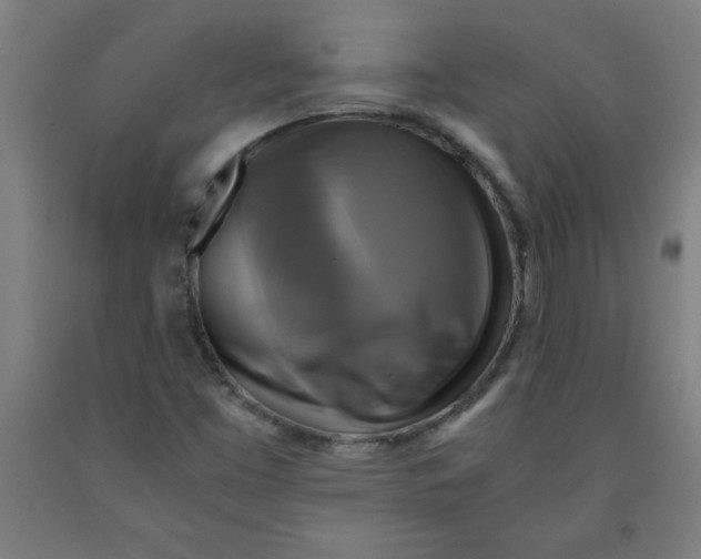 X0000091921453200709261632