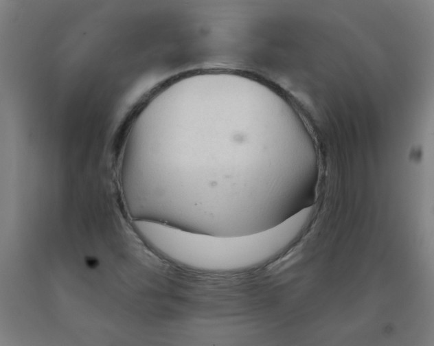 X0000091921454200709261632