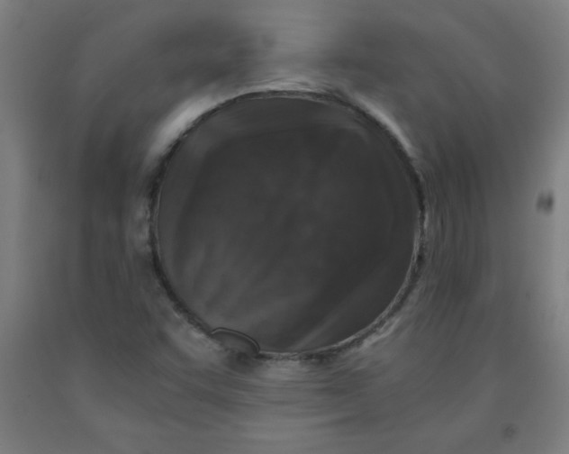 X0000091921455200709261632