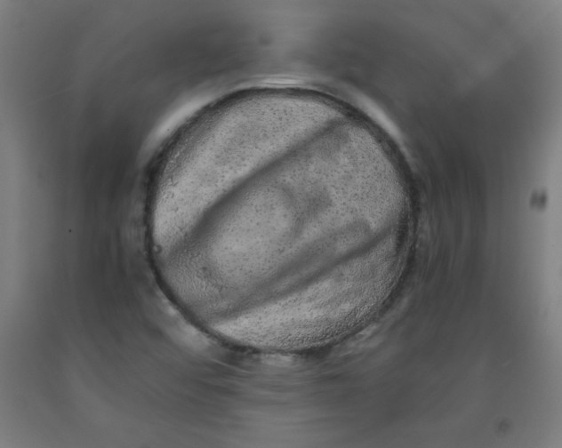 X0000091921456200709261632