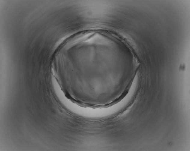 X0000091921457200709261632