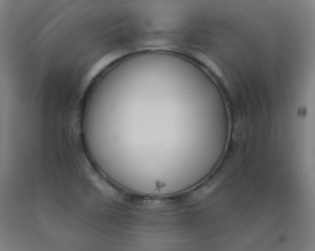 X0000091921458200709261632