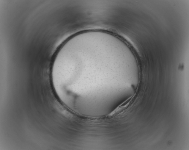 X0000091921460200709261632